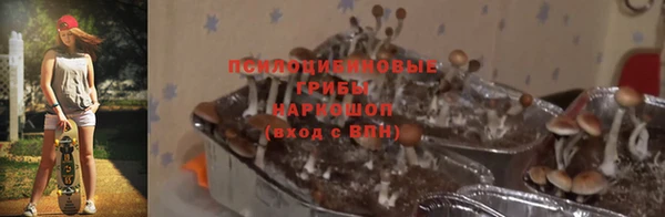 дурь Алексеевка