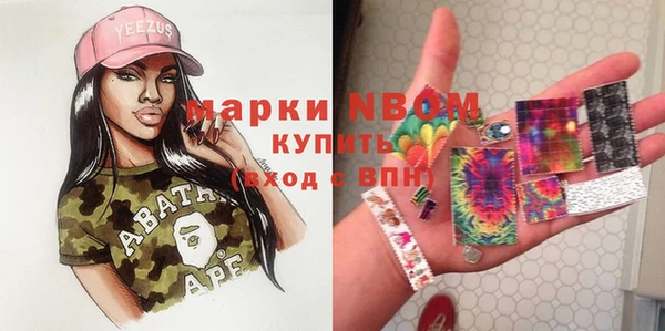 соль ск Алексин