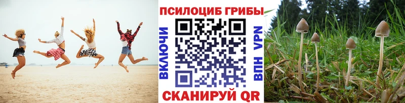 Псилоцибиновые грибы ЛСД  Купить  Узловая 